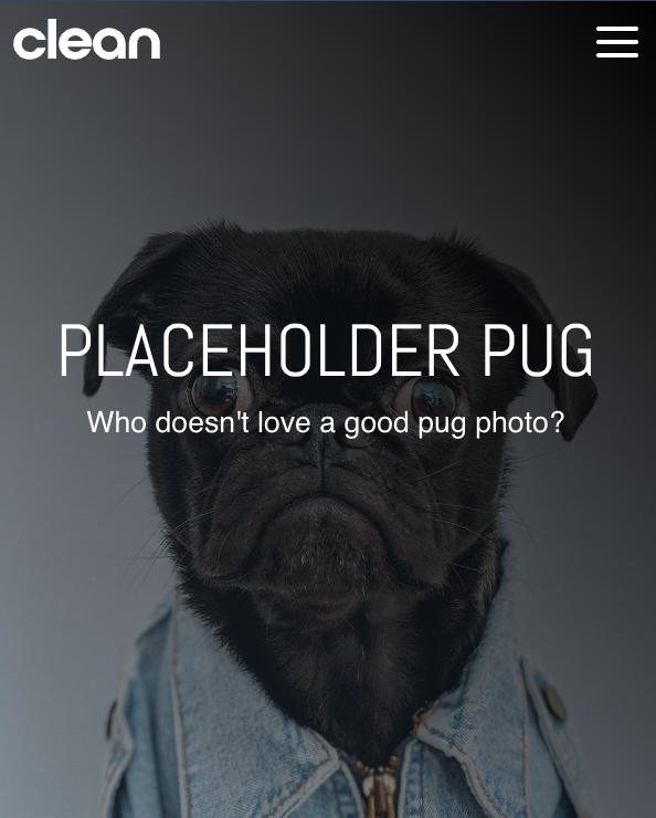 mobile-placeholder-pug